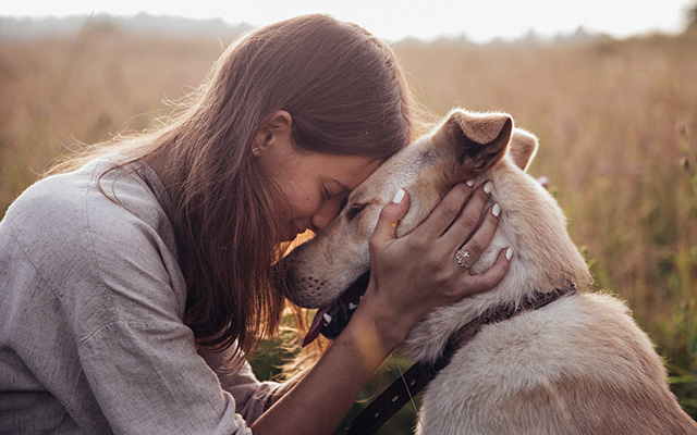 Ein Hund wird von einer Frau gekuschelt.